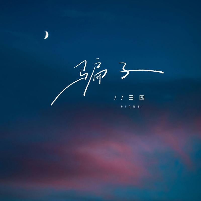 骗子 (DJ阿卓版)封面