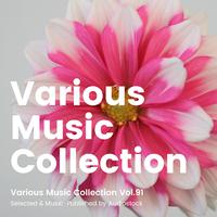 Various Music Collection Vol.91 -Selected & Music-Published by Audiostock-