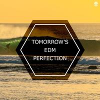 Tomorrow's EDM Perfection