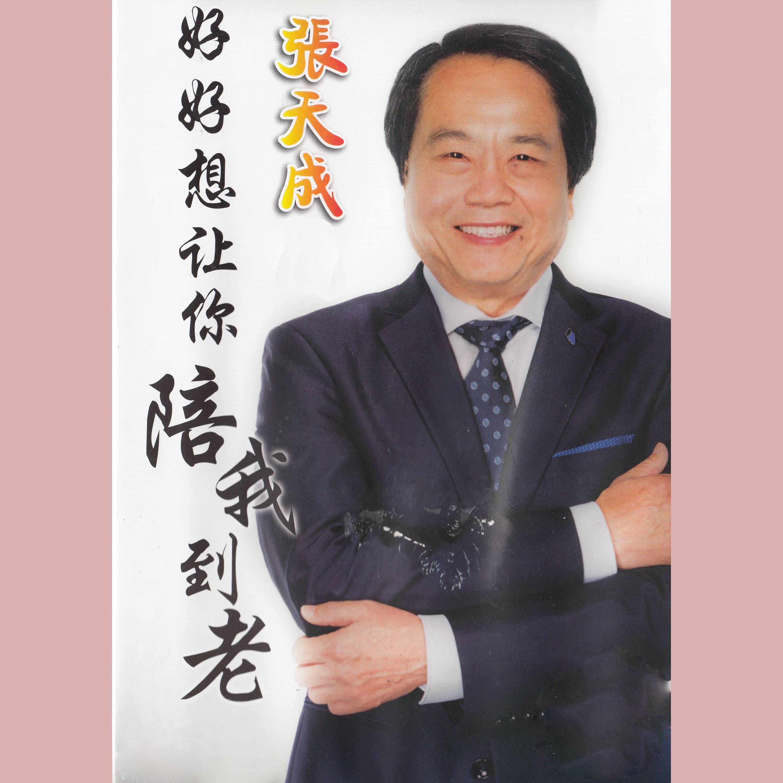 翠湖點點寒封面