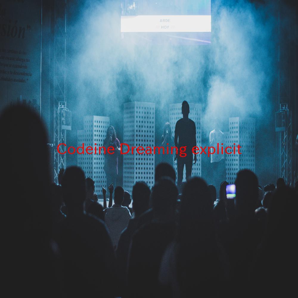 Codeine Dreaming (explicit) (Complete version originally performed by Kodak Black feat. Lil Wayne)