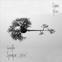 Synapse