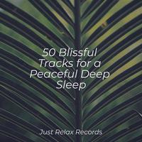 50 Blissful Tracks for a Peaceful Deep Sleep