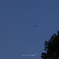 小易锅锅