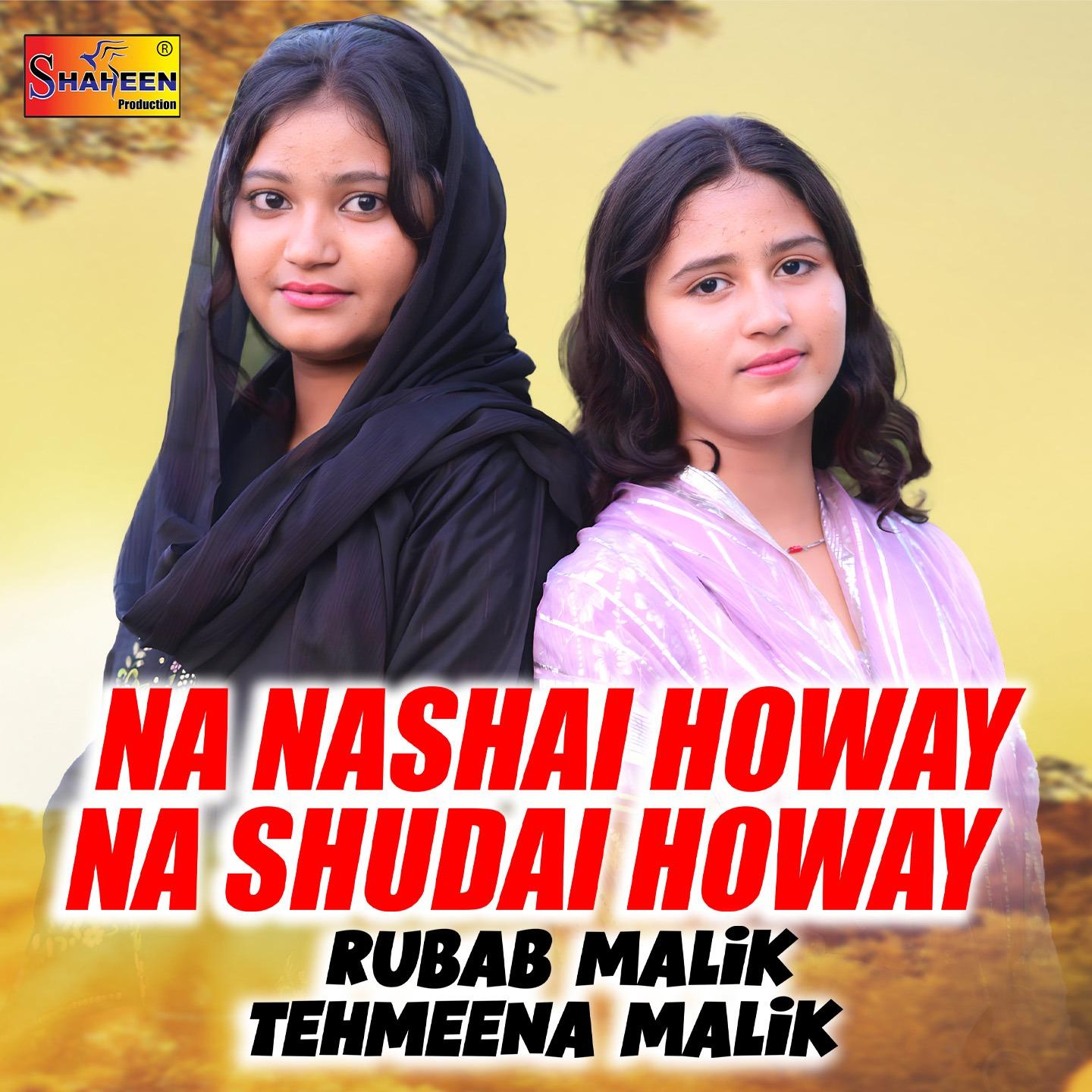 Na Nashal Howay Na Shudai Noway