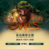 Owls猫头鹰电音节主题曲