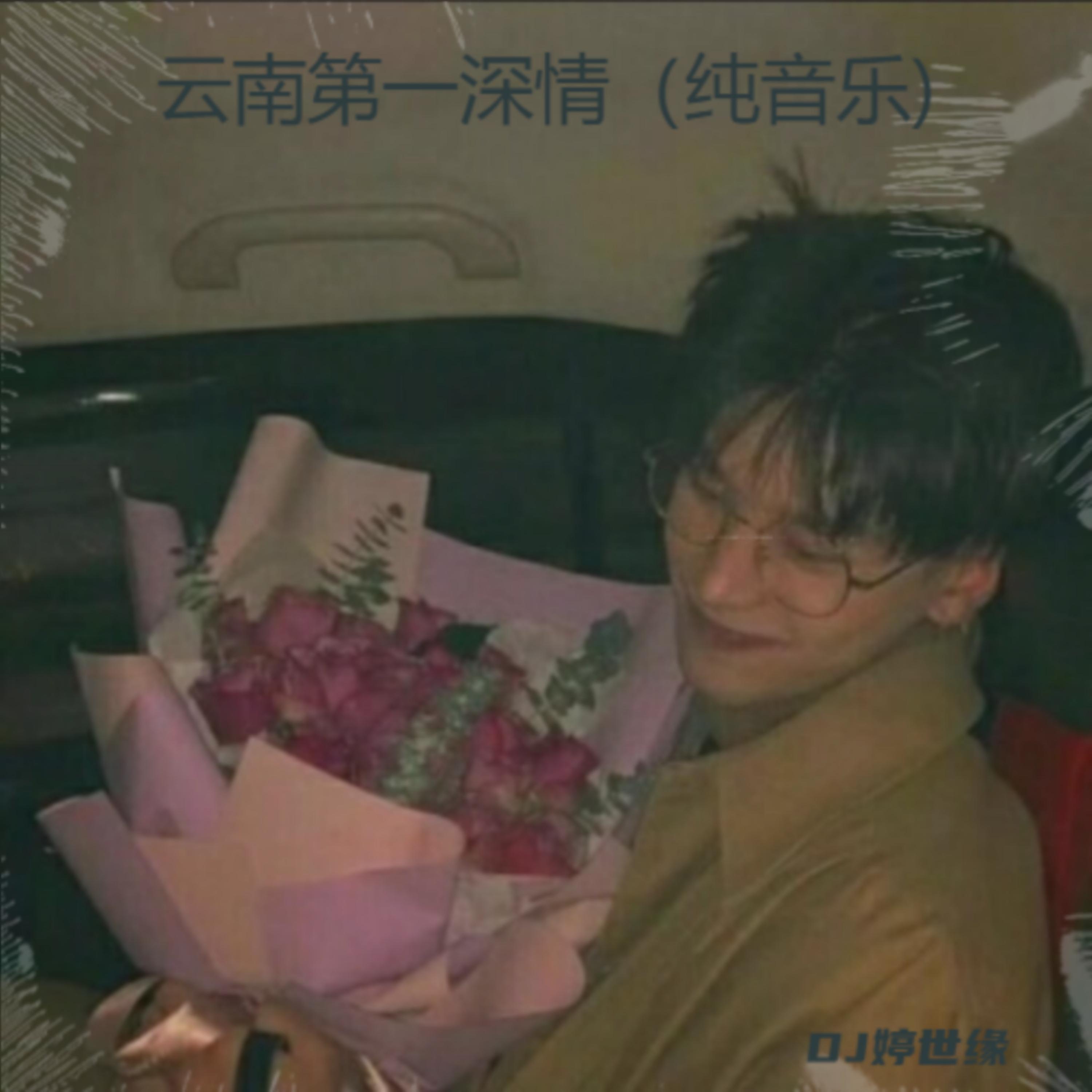 清新旋律 (纯音乐版)封面