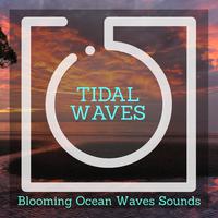 Tidal Waves - Blooming Ocean Waves Sounds