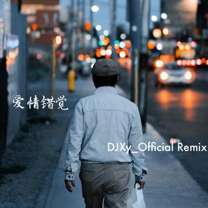 王娅-半吨兄弟-爱情错觉（DJXy_official remix）-DJXy_official