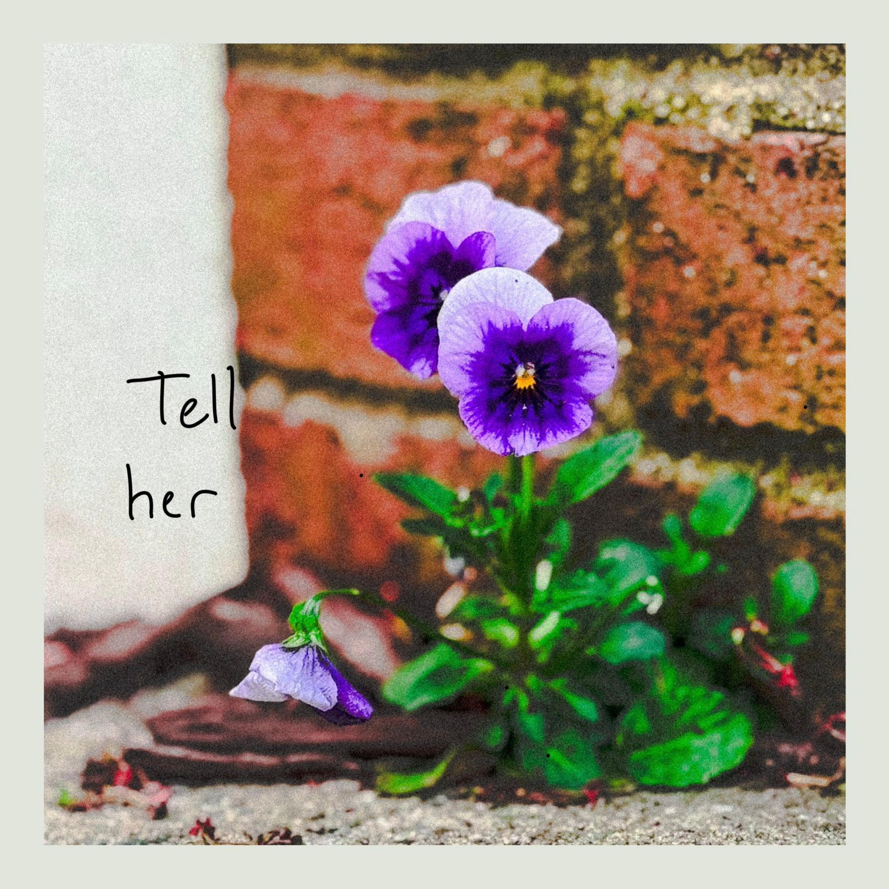 Tell her. (feat. JpBeatz)