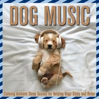 Dog Music: Calming Ambient Sleep Sounds for Helping Dogs Sleep and Relax