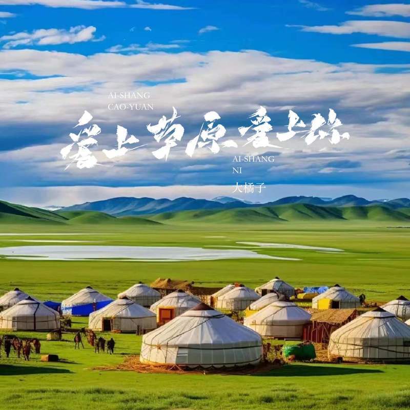 爱上草原爱上你封面