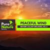 Nature Fantasy Music Studio - Bleak Desert Wind
