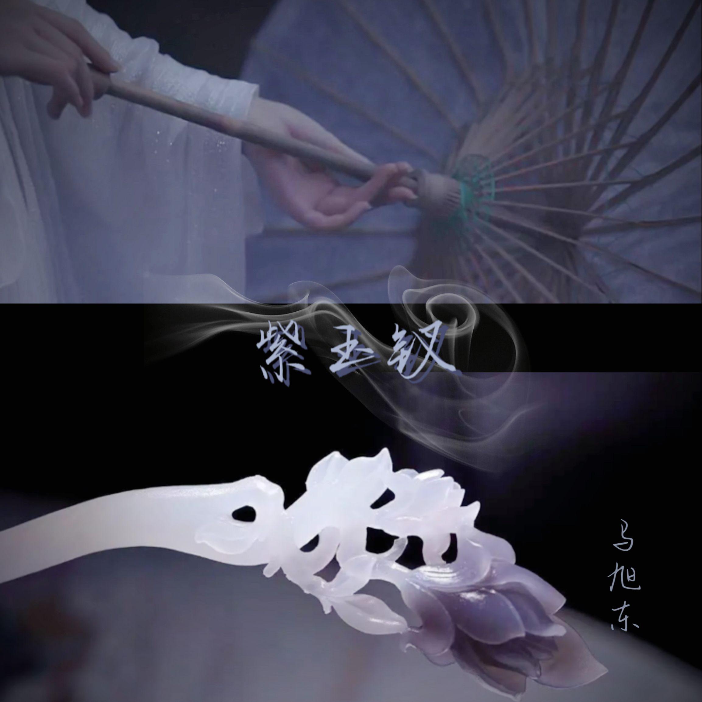 紫玉钗封面