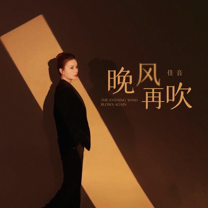 晚风再吹 (DJ九零版) - 佳音封面