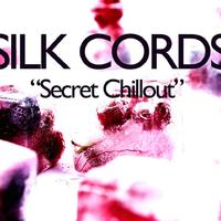 Silk Cords