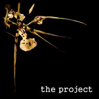 The Project