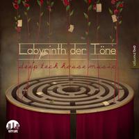 Labyrinth der Töne, Vol. 2 - Deep & Tech-House Music