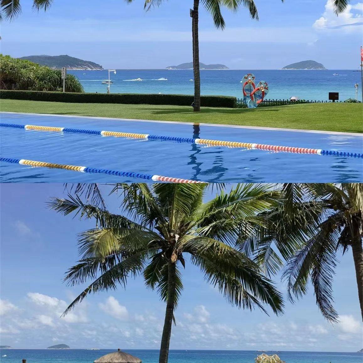 悔不当初封面
