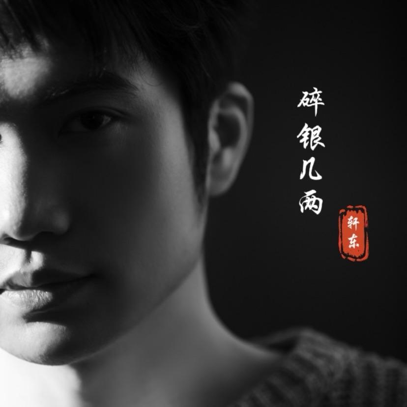 碎银几两 (DJ沈念版)封面