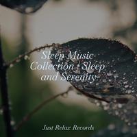 Sleep Music Collection | Sleep and Serenity