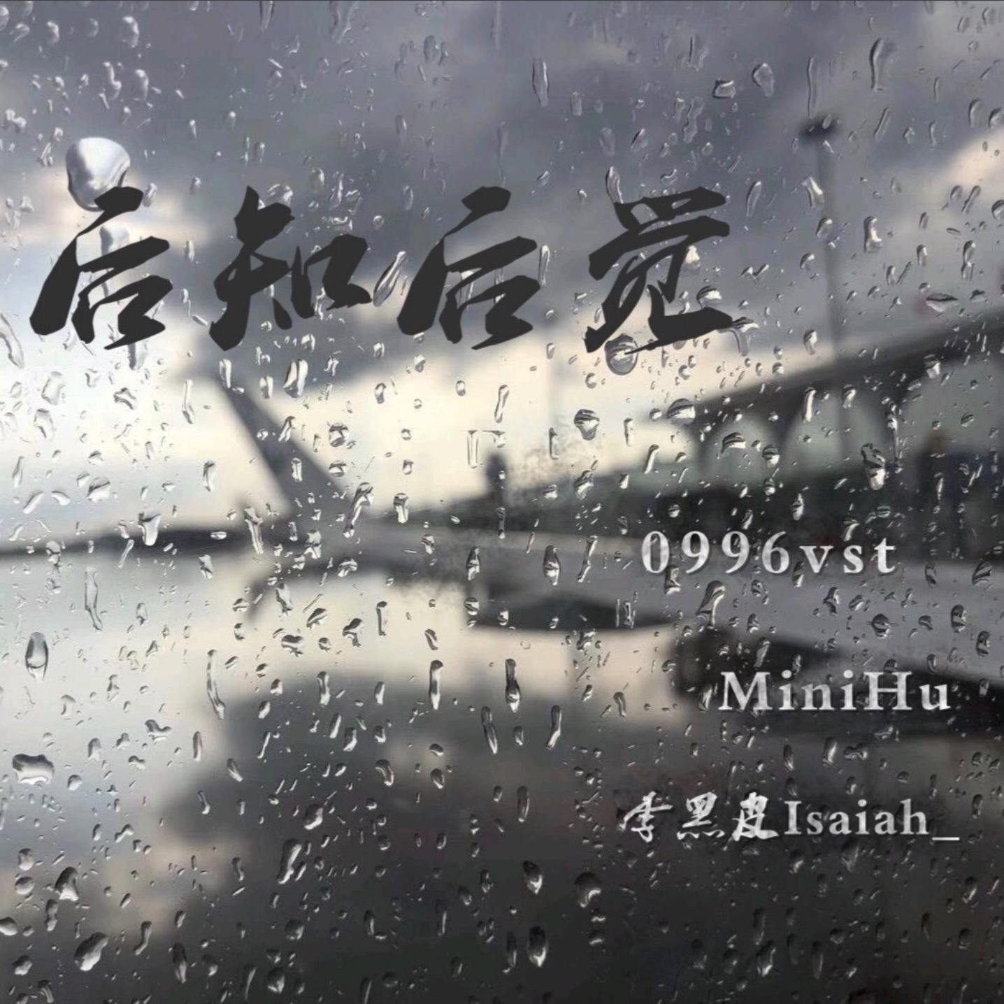 渐行渐远封面