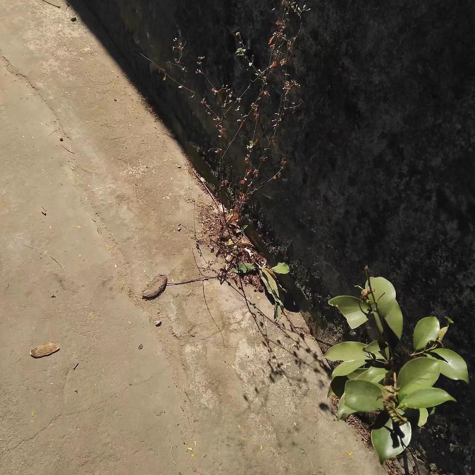 When I Was Your Man (Cover.Swag)