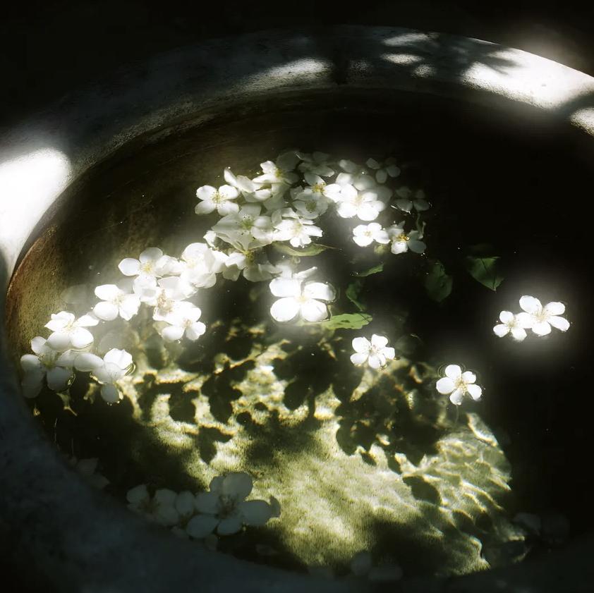 Time to Pretend(Slowed)（fryly remix）