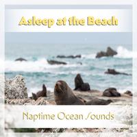 Asleep at the Beach: Naptime Ocean Sounds