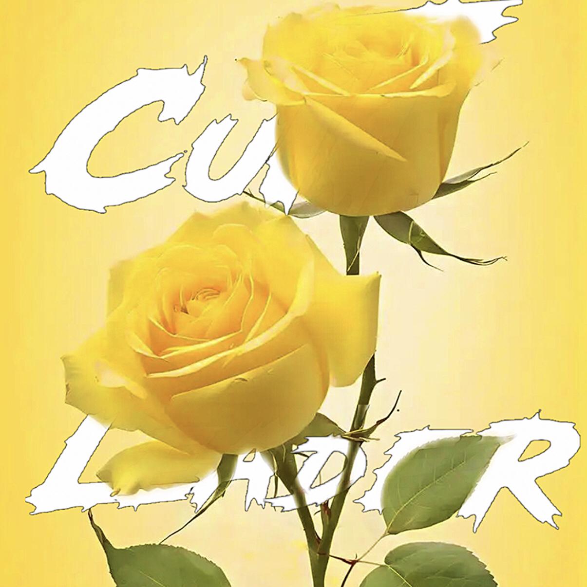 黄玫瑰 - 教主Cult_Leader封面