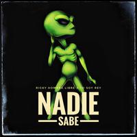 Nadie Sabe