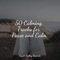 50 Calming Tracks for Peace and Calm