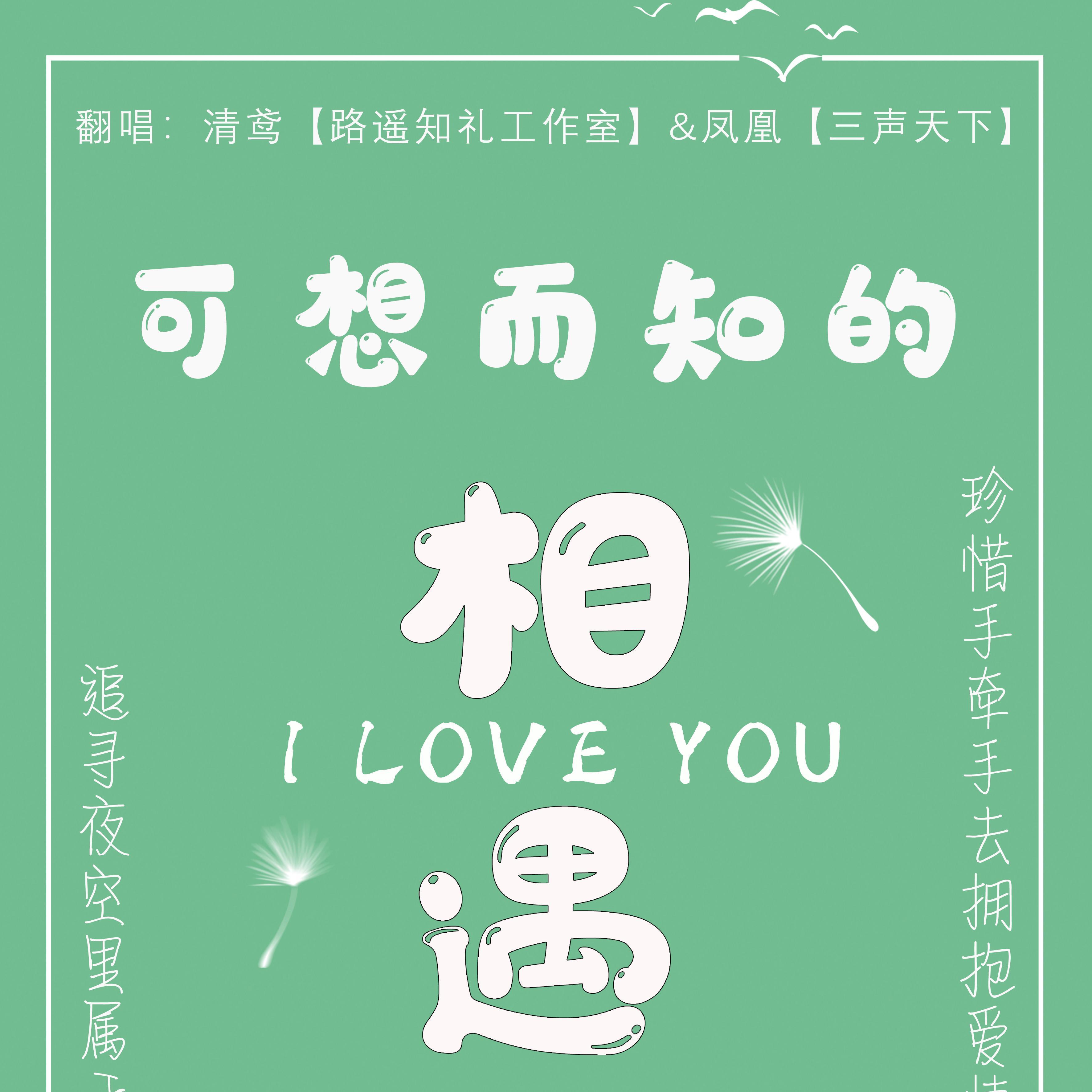 《可想而知的相遇》