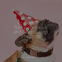 50 Soothing Songs for Vibes and Deep Sleep For Dogs