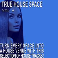 The House Space, Vol. 4