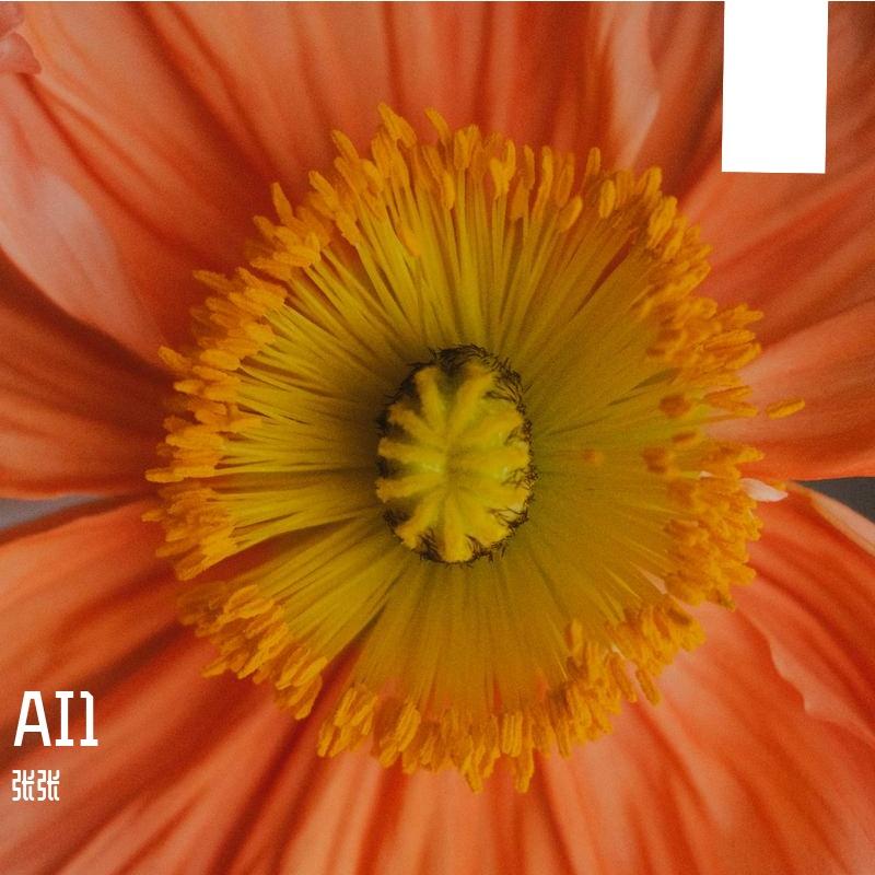 相对静止封面