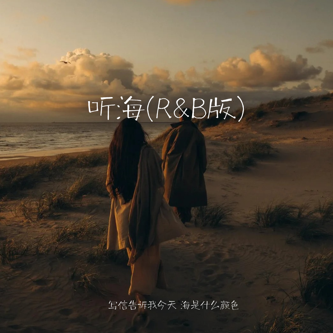 听海(R&B版) - SHE栗子封面