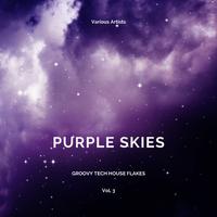 Purple Skies (Groovy Tech House Flakes), Vol. 3