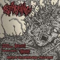 Vortex of the Severed Dead / Pulled Apart