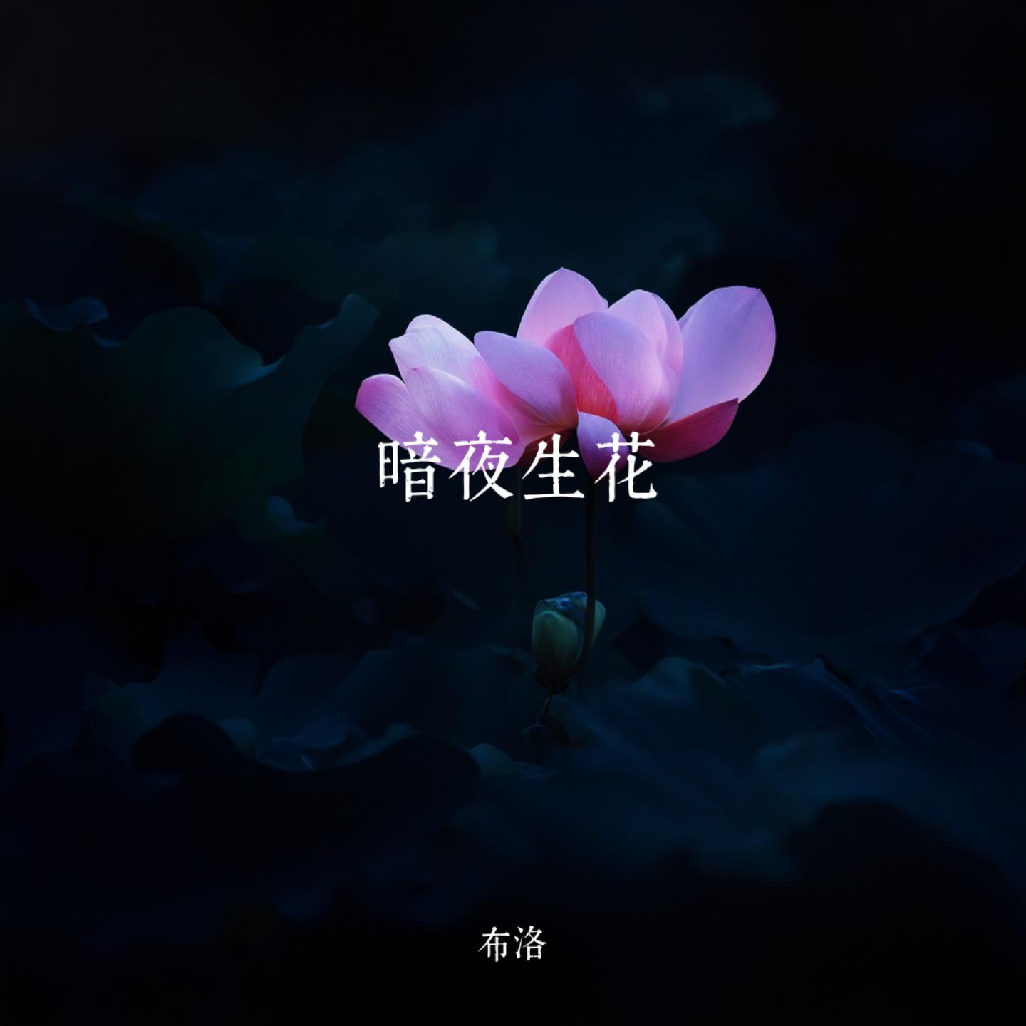 暗夜生花
