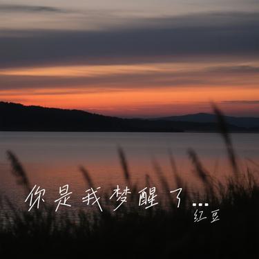 你是我梦醒了见不到的人 (Cover 吕口口)封面