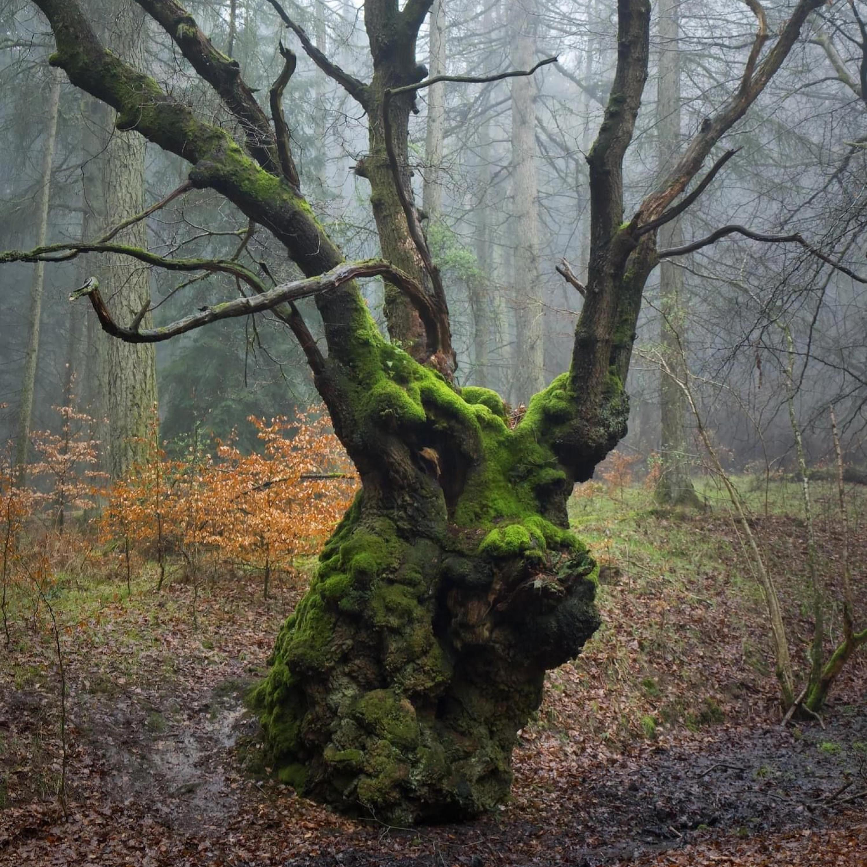 Alright (feat. Lewca)