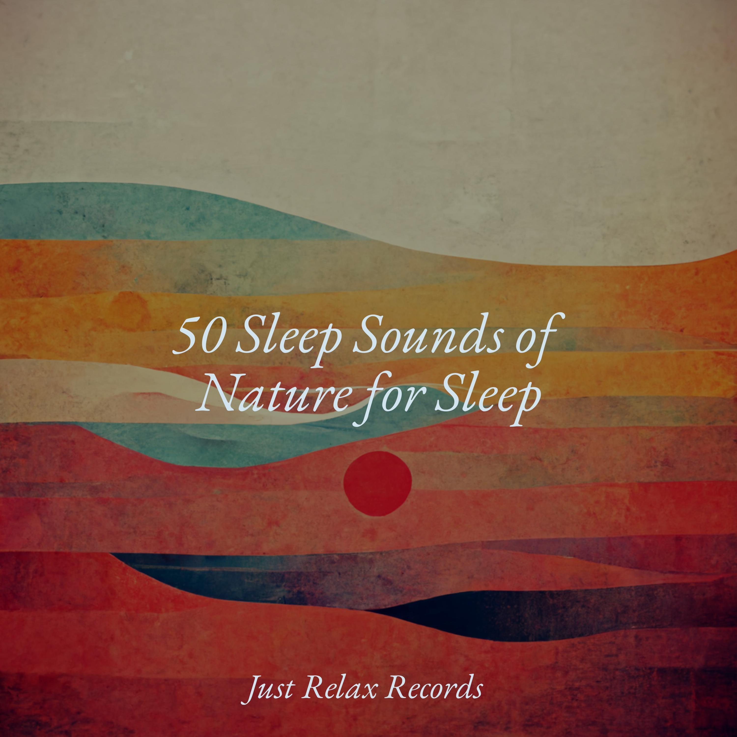 Lullaby of Dreamscape Serenity Musica para Dormir Dream House/Chakra