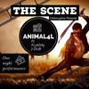 Animal4L - TheScene