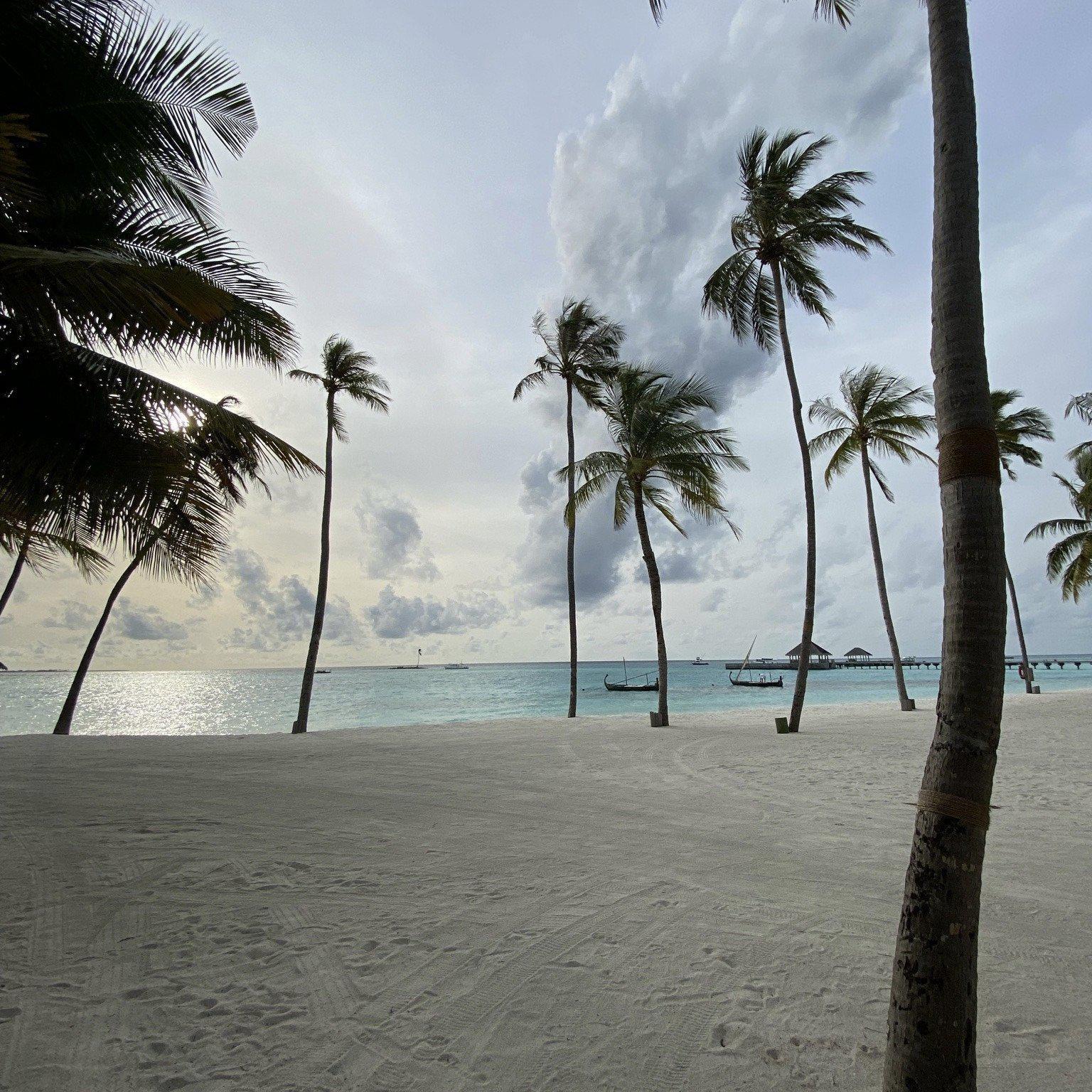 Jasmine Thompson-Let Her Go（念宸 / 念亿 remix）