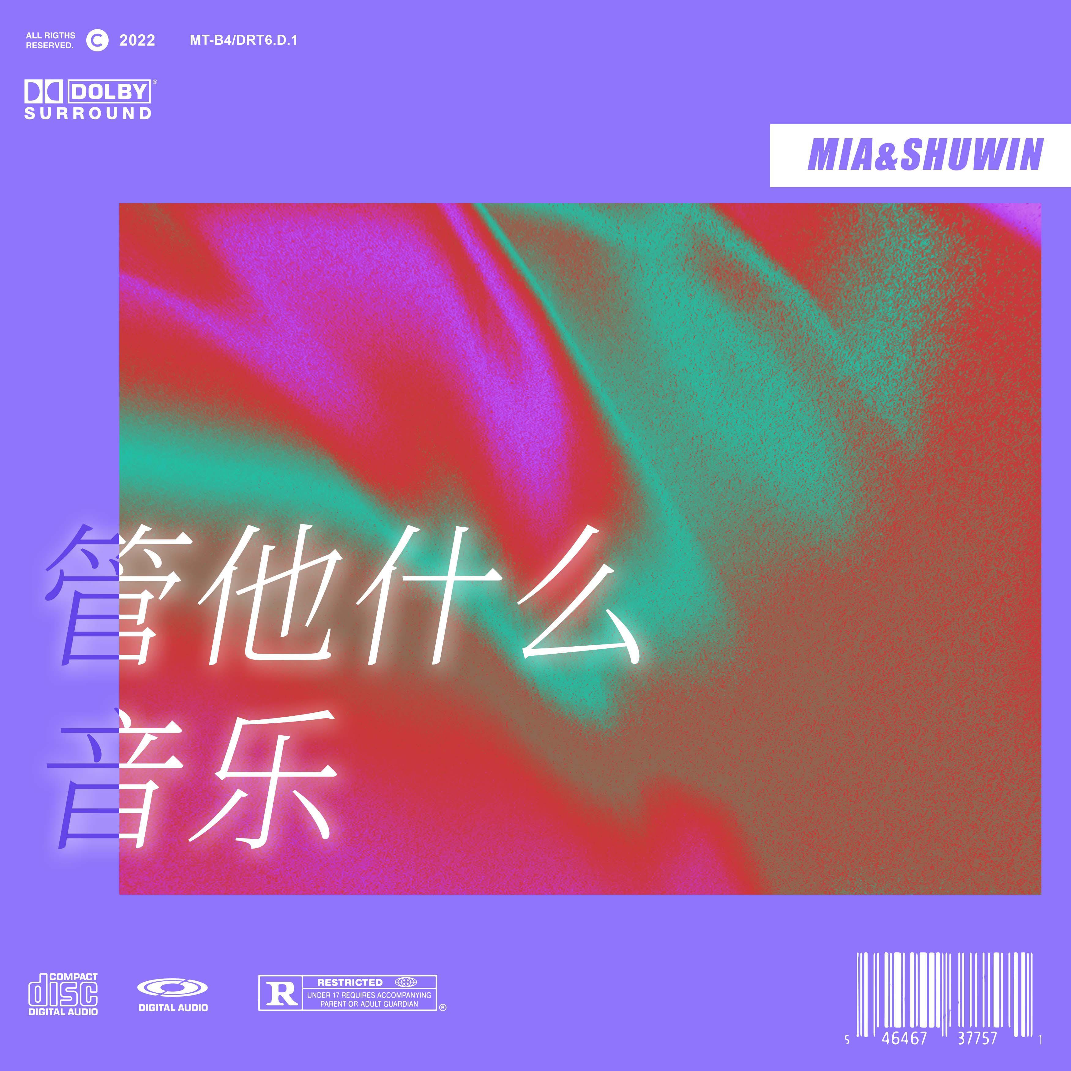管他什么音乐封面