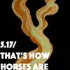 Thom Yorke - That's How Horses Are