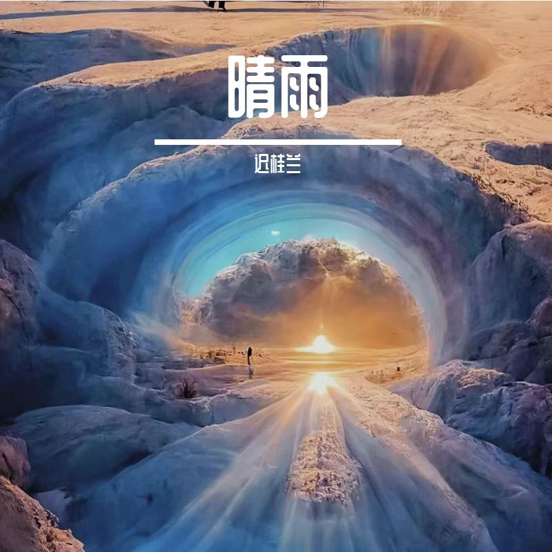飞星逐月封面