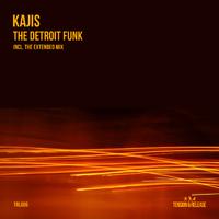 The Detroit Funk