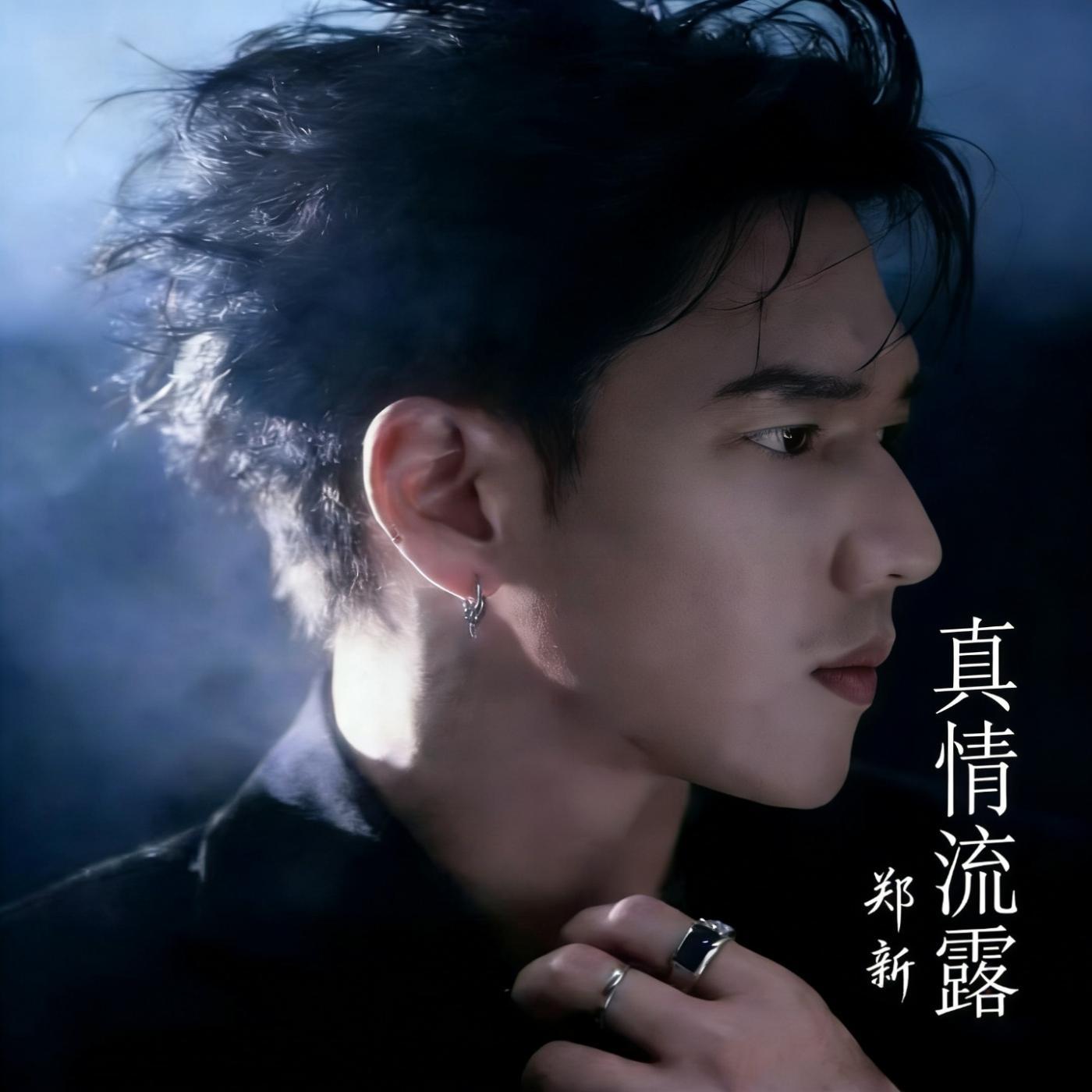 真情流露(R&B版)[伴奏]封面